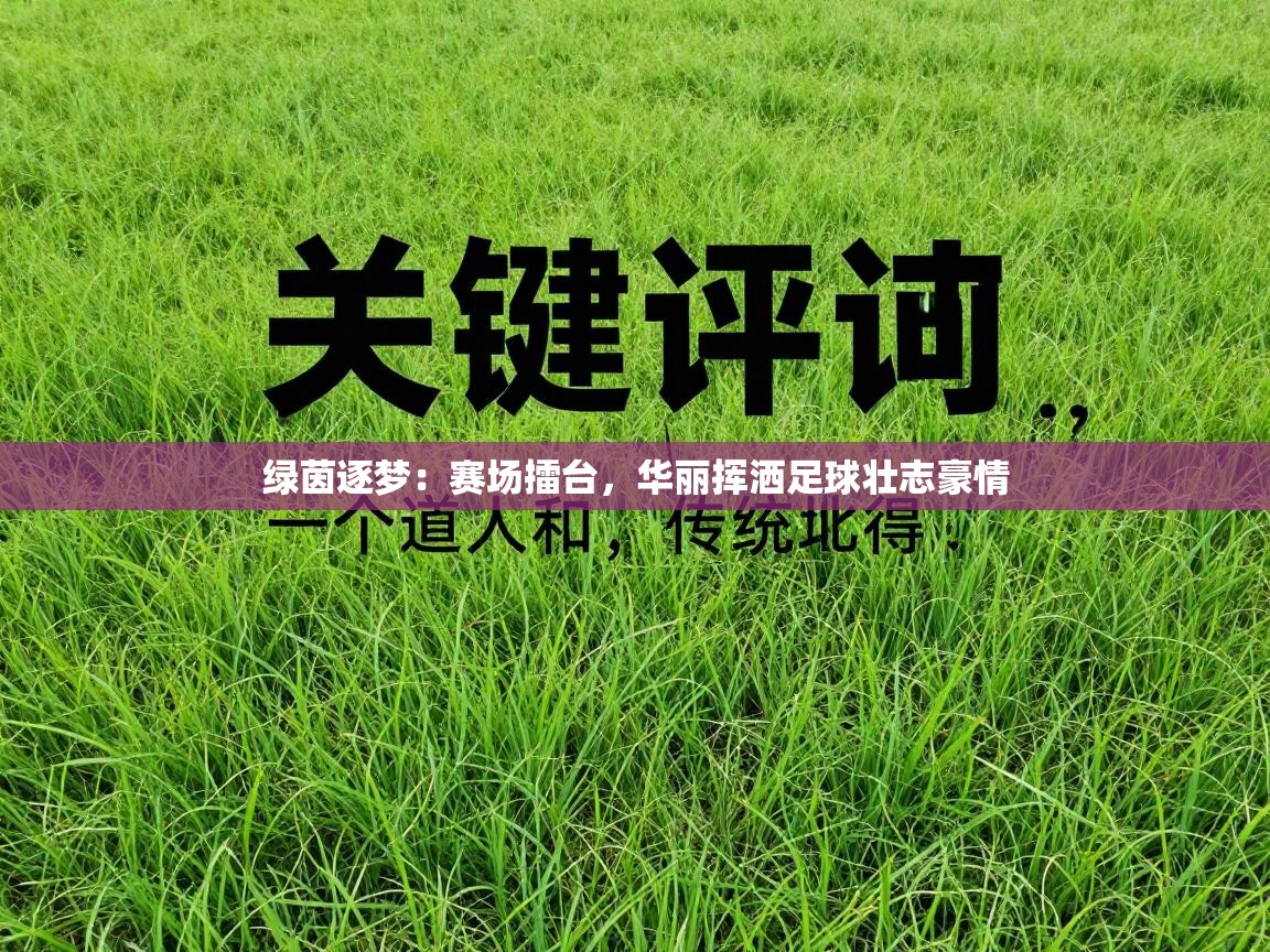 绿茵逐梦：赛场擂台，华丽挥洒足球壮志豪情  第1张