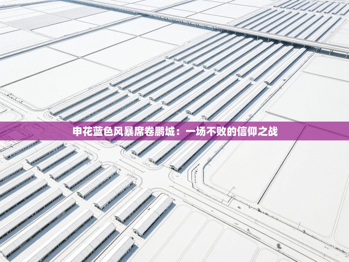 申花蓝色风暴席卷鹏城：一场不败的信仰之战  第1张