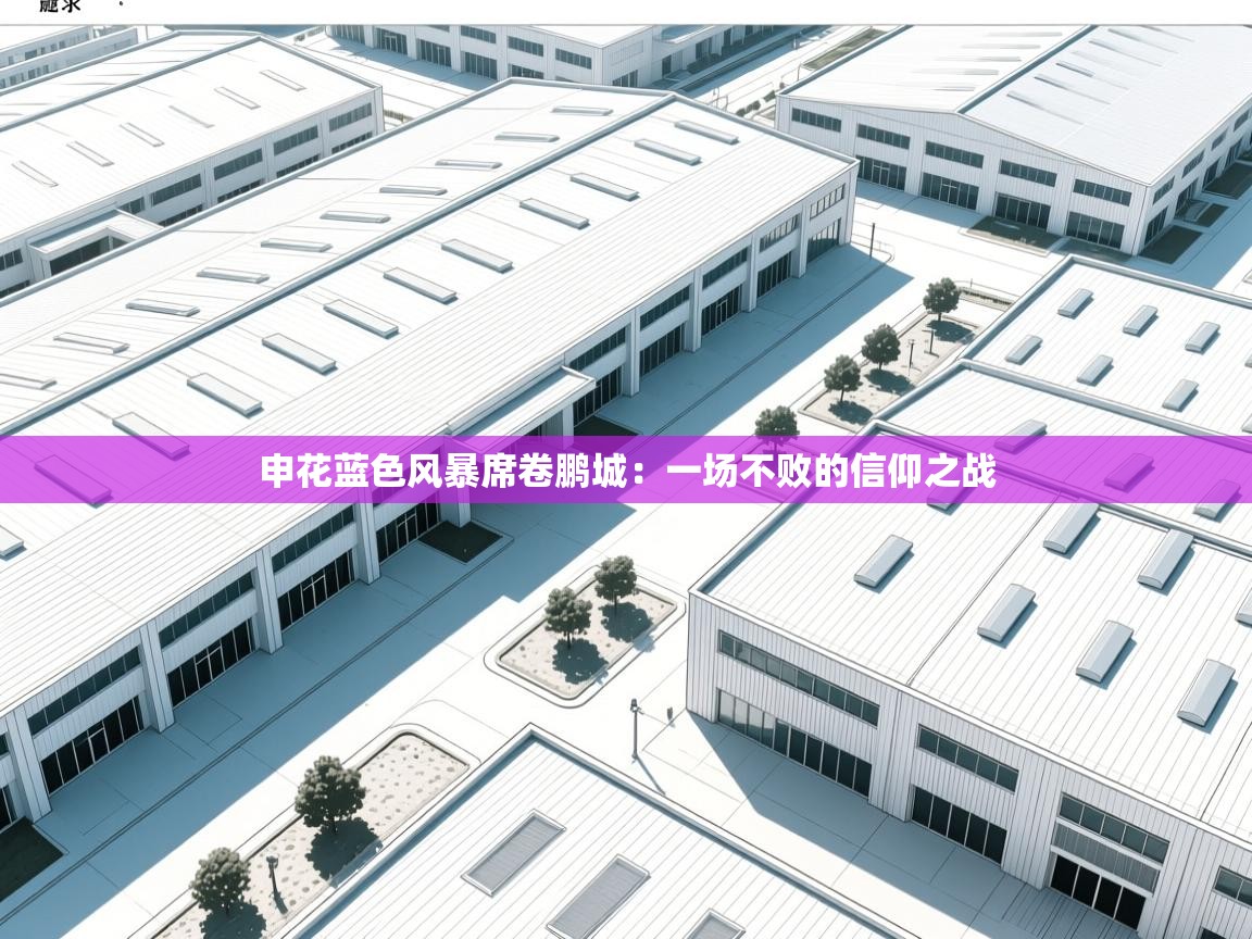 申花蓝色风暴席卷鹏城：一场不败的信仰之战  第2张